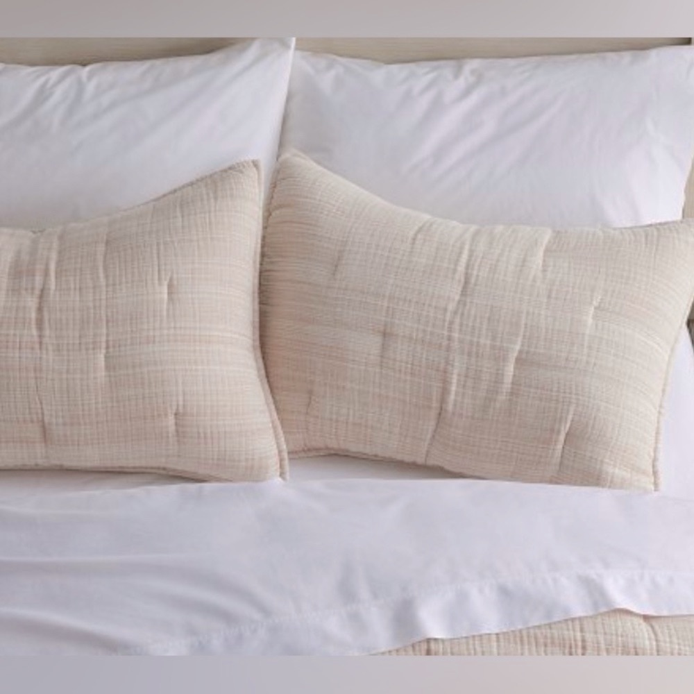 Pottery Barn Chill Out Cotton Sham, Set of 2 NWT. Color Terracotta.